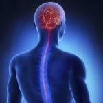 ⁠Post-fracture rehab