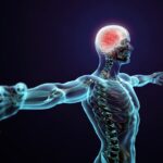 Brain & Nervous System Health