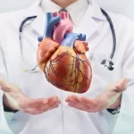 Heart & Circulatory Health